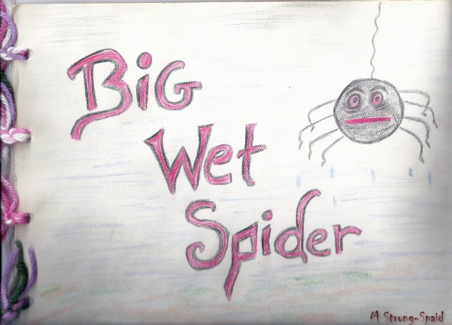 Big Wet Spider