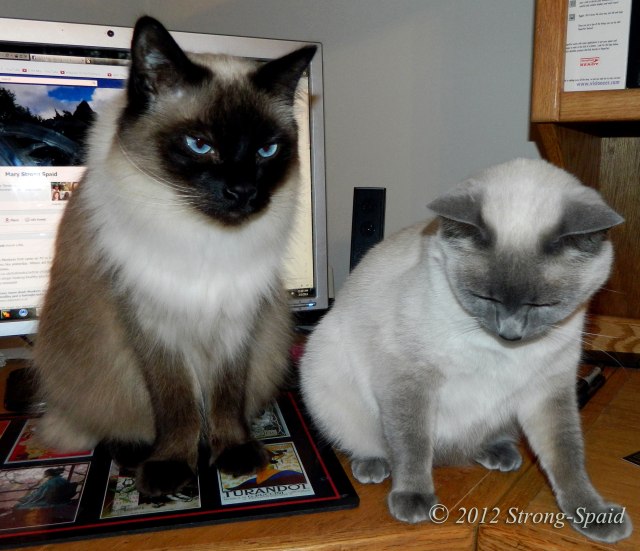 Computer-Screen-Blockers