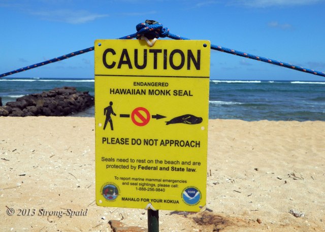 Caution-Endangered-Seal