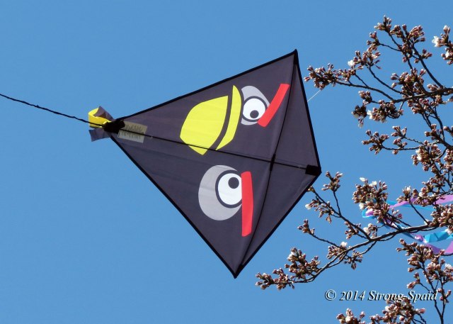 Kite-captured-by-trees