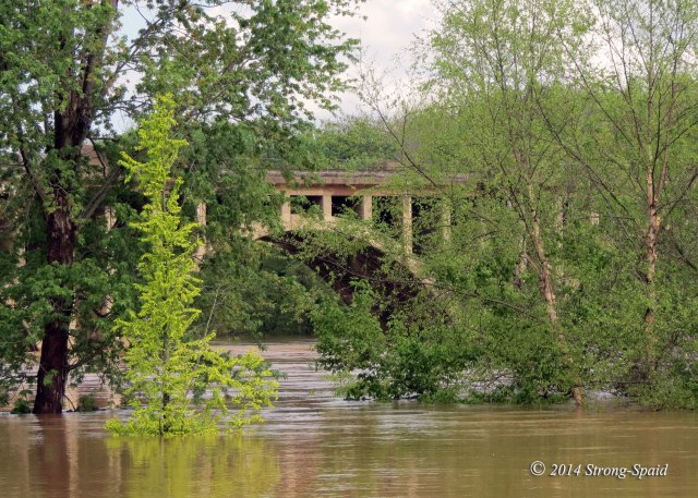 Rappahannock-River_13