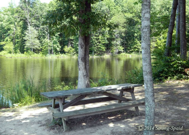 Lake-and-Table