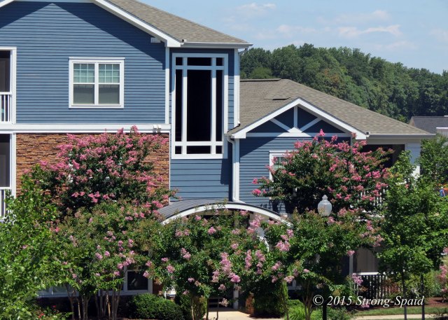 Seasons-at-Celebrate-Virginia_1