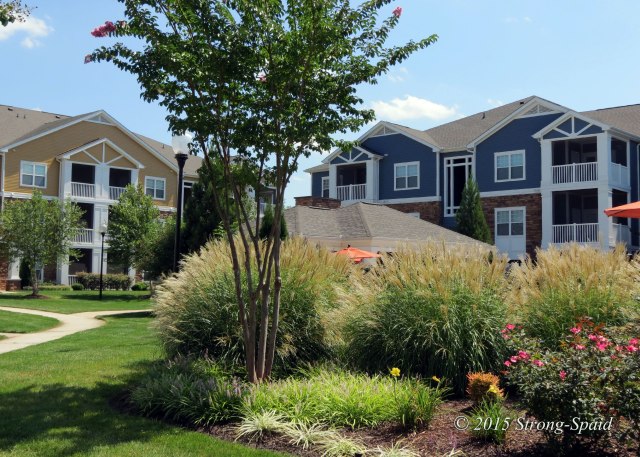 Seasons-Pool-Landscape-2