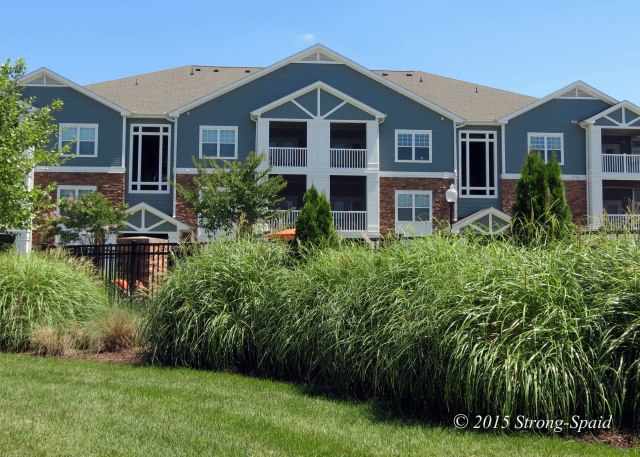 Seasons-Pool-Landscape