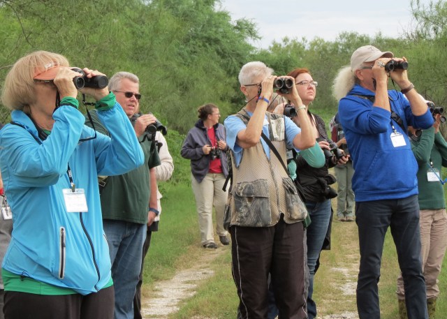 Mitchell Lake_birdwatching