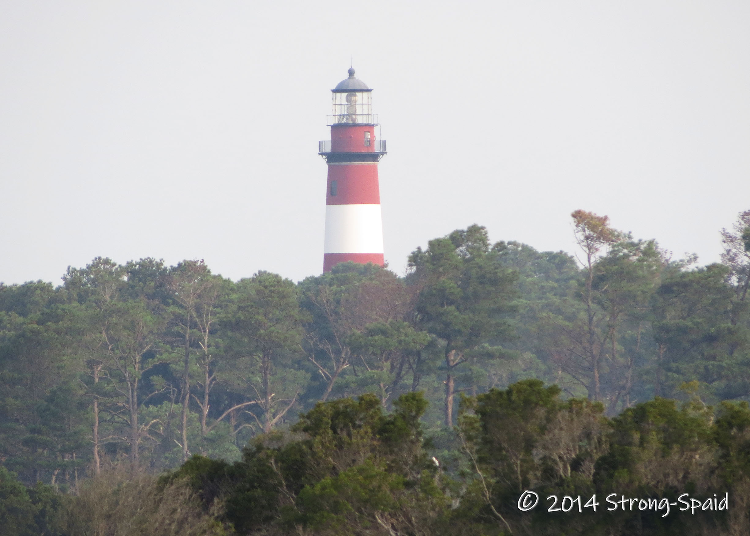 Lighthouse in the distance